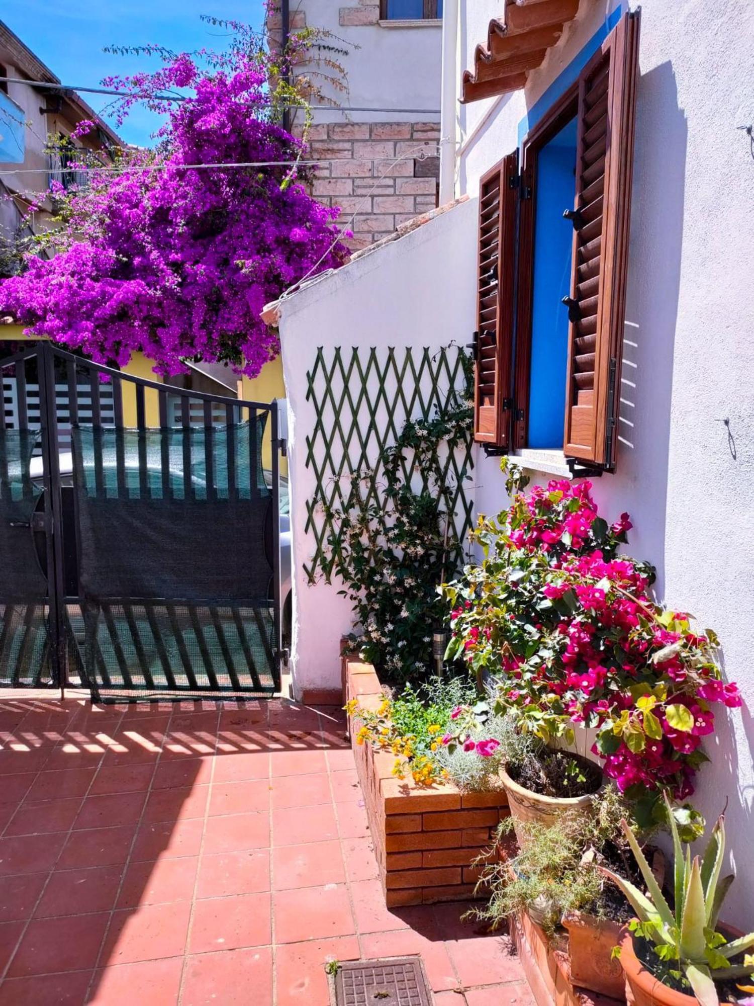 Nel Cortile Della Casa Di Carta, Due Singole Unita Holiday home *